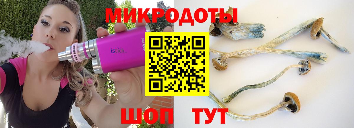 продажа наркотиков  Вход с VPN  Лабинск  Псилоцибиновые грибы Cubensis 