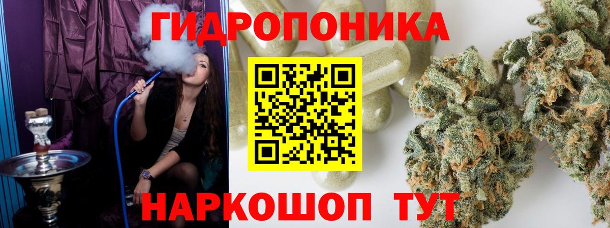Бошки Шишки план Лабинск
